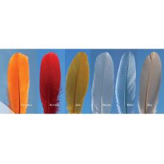 Abari Renkli Ördek Tüyü (çapari kösteği için)