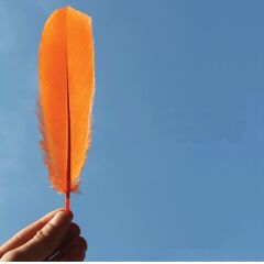 Abari Renkli Ördek Tüyü (çapari kösteği için)