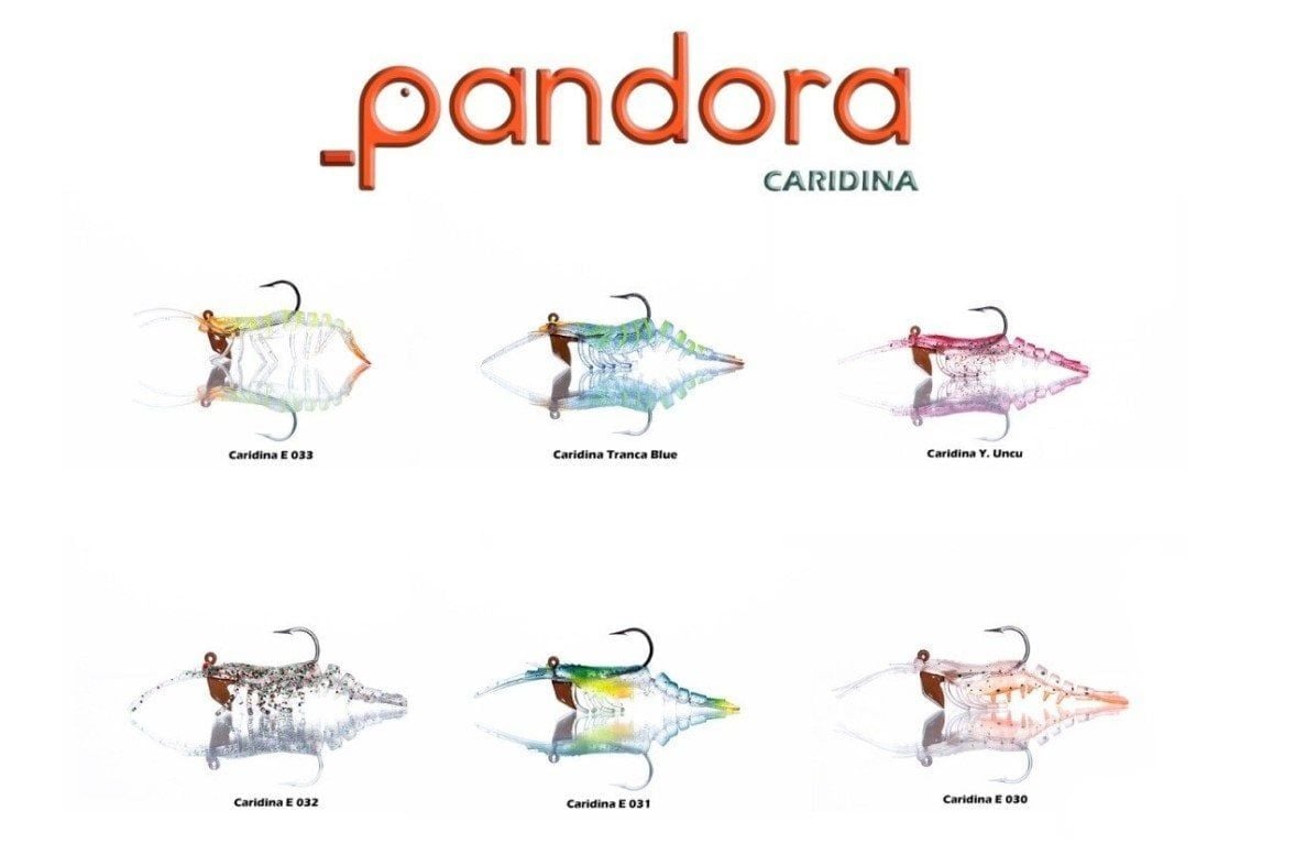 Pandora Caridina