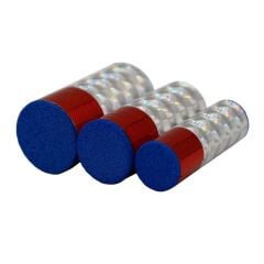 Abari Renkli Kafalı Yemli Takım Çinekop Mantarı