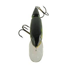 Jaxon H.S Horn 9 Cm 13 Gr Fom