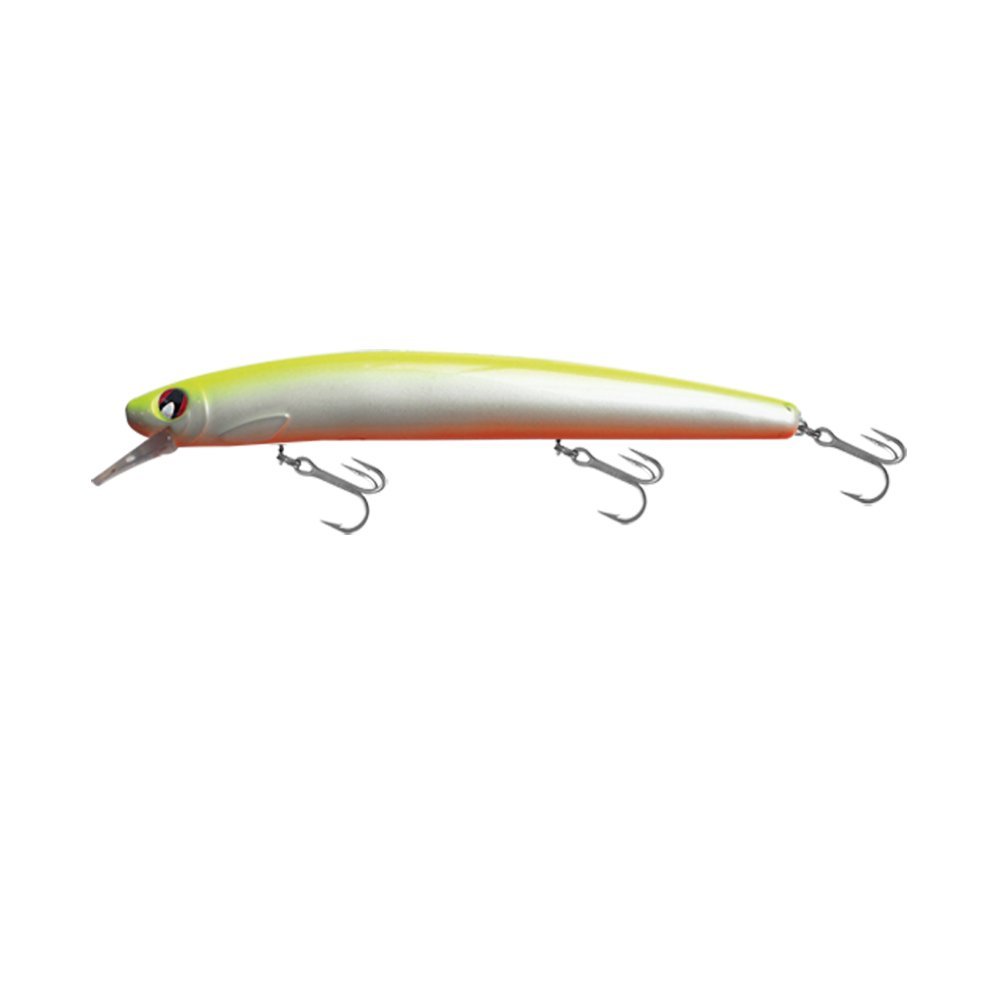 Japanese Minnow HG2541