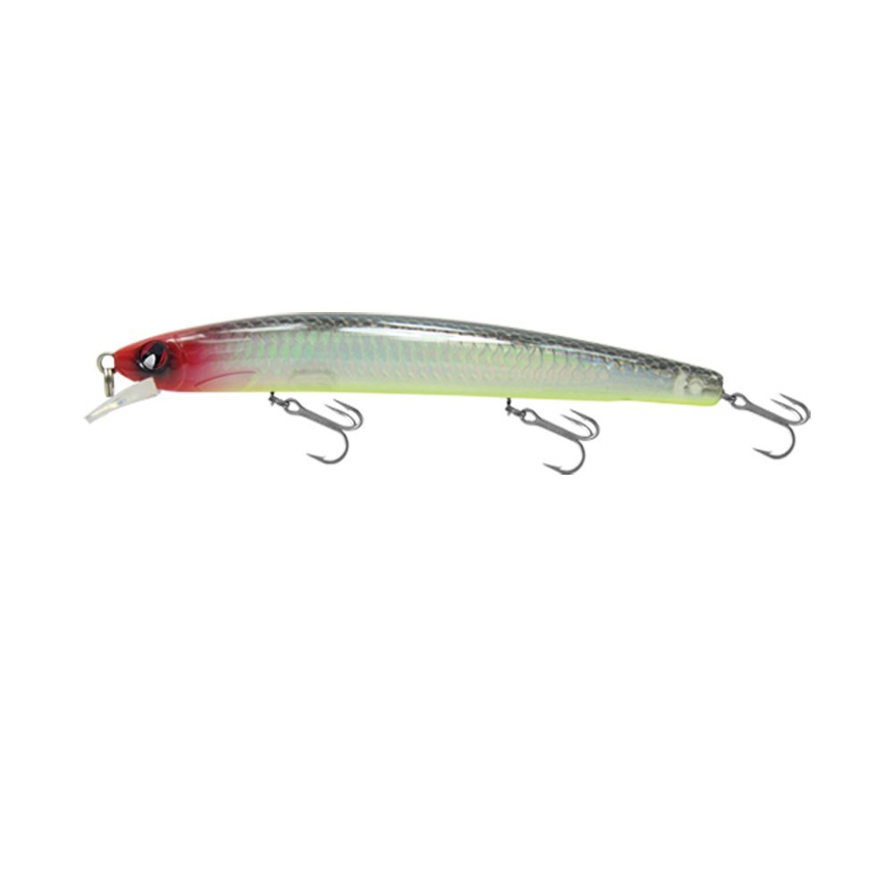Japanese Minnow HG2545