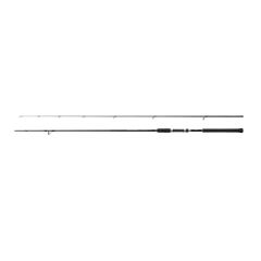 Rod Salty Advance Spinning Sea Bass 2,90m 9'6'' 8-45g 2pc