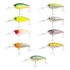 Japanese Blanca Maket Balık