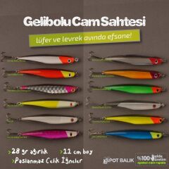 Evostar Gelibolu Cam Sahtesi Lüfer ve Levrek Rapalası
