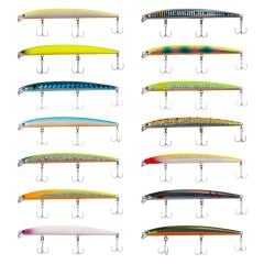 Japanese Vega Maket Balık