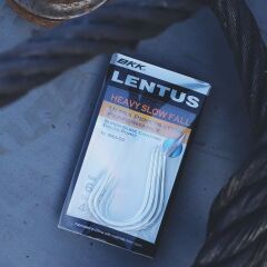 BKK Lentus Olta İğnesi 6/0 4 Pcs
