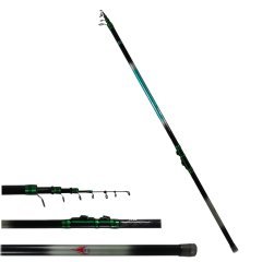 Thouet Halkalı Göl Kamışı 500 cm