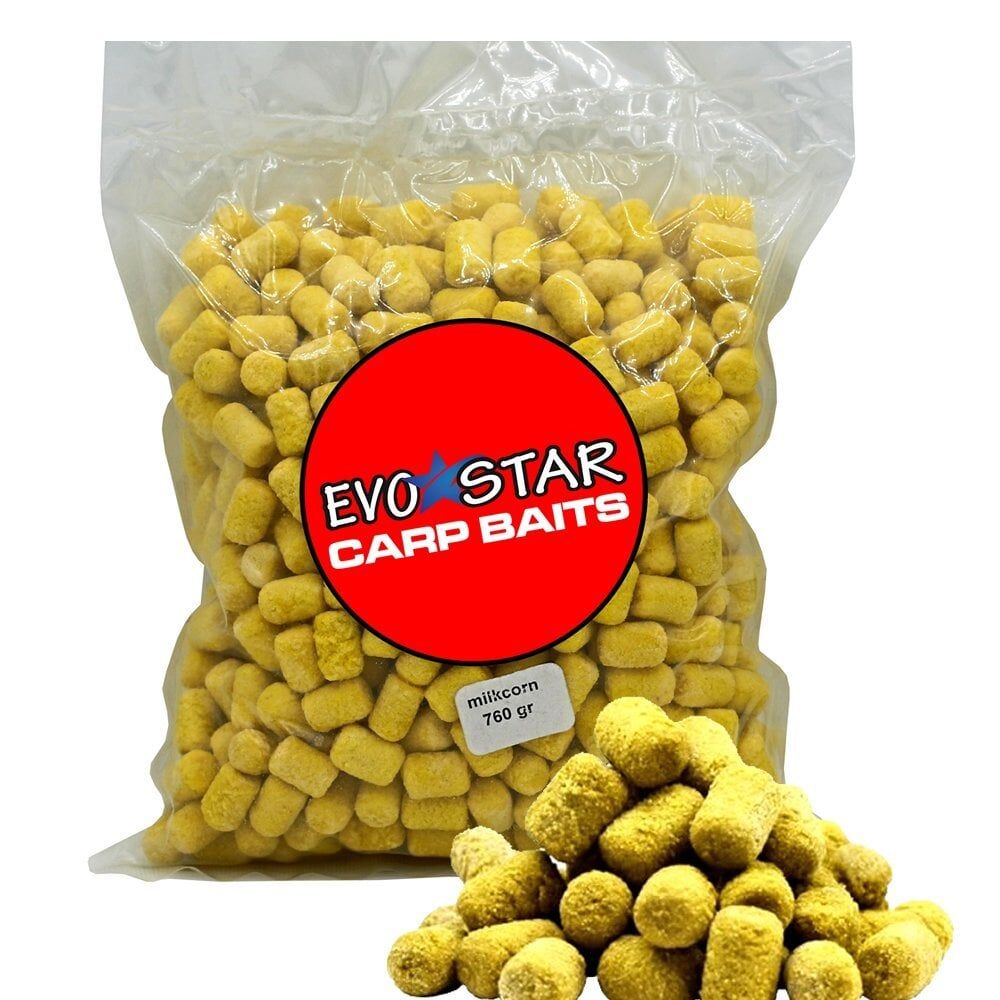 Evostar 760gr Boili Pasta Sazan Yemi