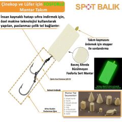 Evostar Glow Mantarlı Çelik Telli Yemli Takım 2 İğneli Küp