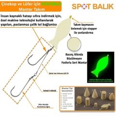 Evostar Glow Mantarlı Çelik Telli Yemli Takım - 2 İğneli Balık