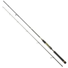 Daiwa Crosscast Df 3.05m 28-84gr 2p Shore Jig Kamış