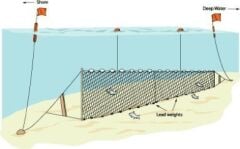 Yarı Profesyonel Sazan Ağı 100 Metre 2 Numara İp Kalınlıklı
