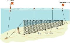 Yarı Profesyonel Turna Ağı 50 Metre 0,20 mm Misina