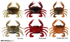 Savage gear LB 3D Manic Crab 5 cm 4 Adet Sahte Balık Orange Belly Crab