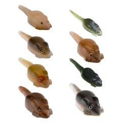 Effe Sasi Fare WSS12