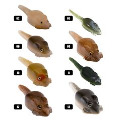 Effe Sasi Fare WSS12