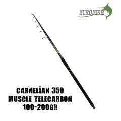 Carnellian Olta Kamışı 350 cm