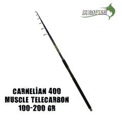 Carnellian Olta Kamışı 400 cm