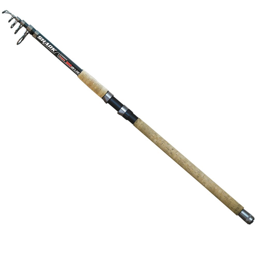 Kamış Shark